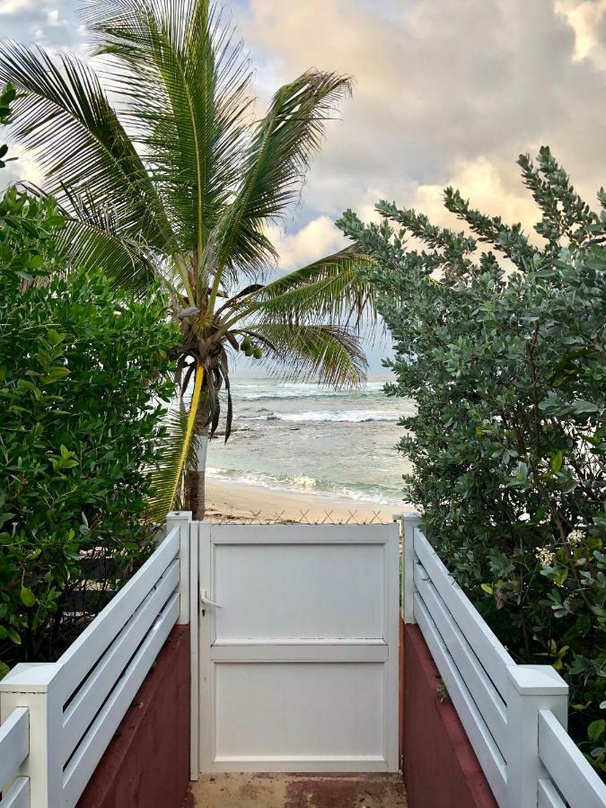 Appartement Au Bord De L'Eau Le Moule Eksteriør billede