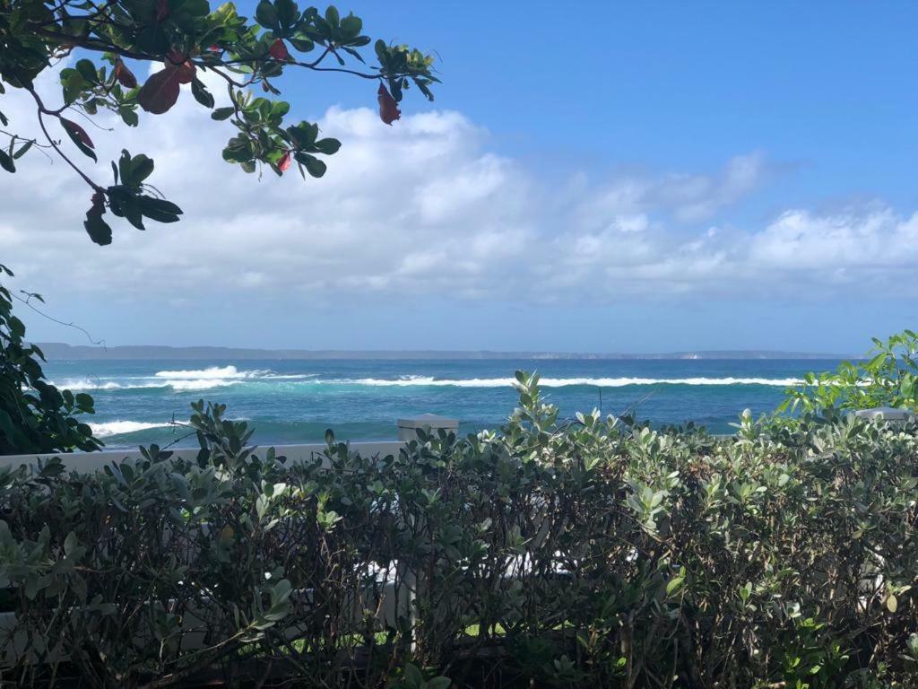 Appartement Au Bord De L'Eau Le Moule Eksteriør billede